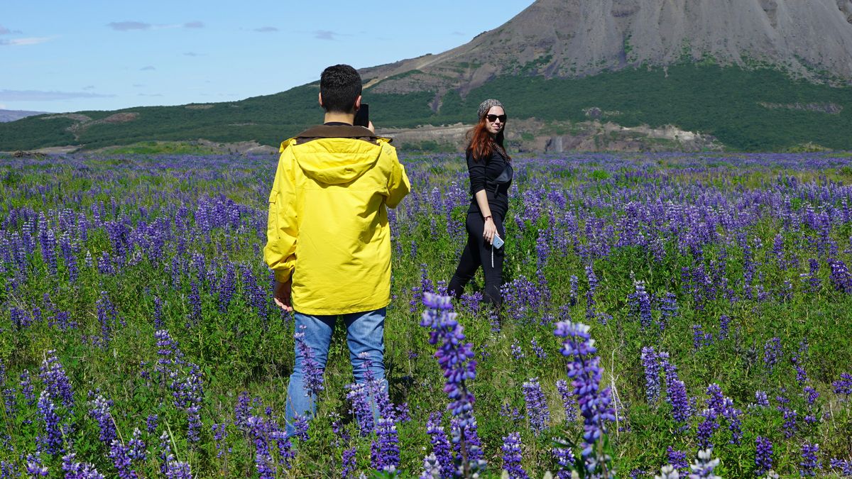 The Future of Micro-Influencers in the Evolving Digital Landscape